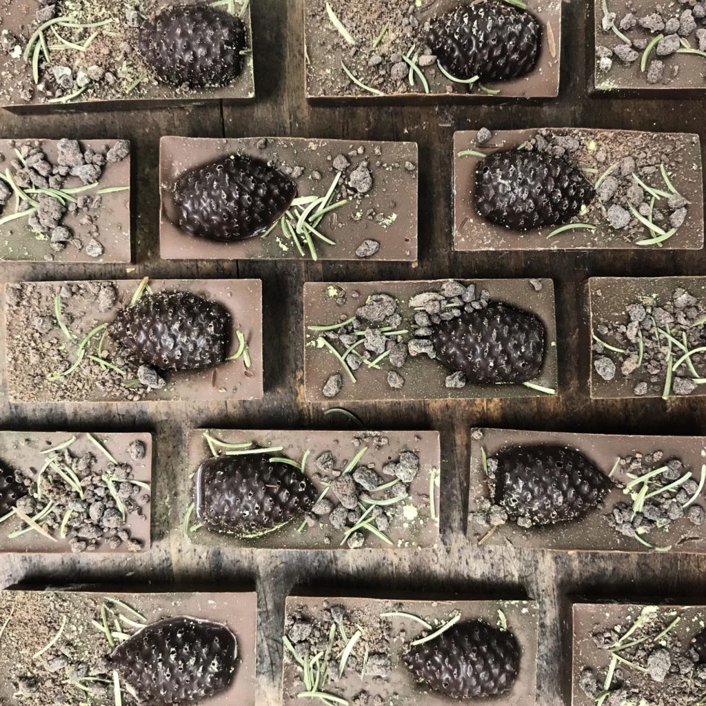 Our Forest Path Mini Tiles