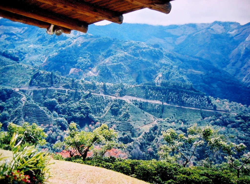 Ecuadorian mountain side - chocolate origin