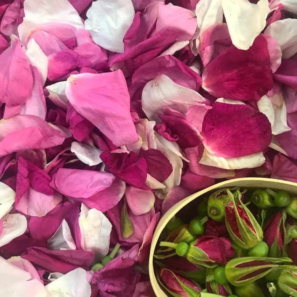 fresh rose petals and buds