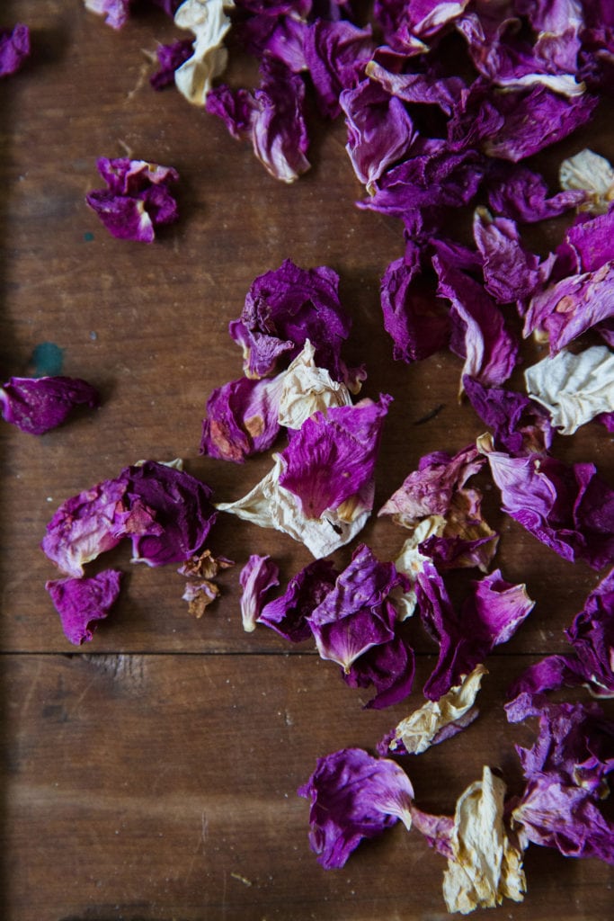 close up of dried flowers