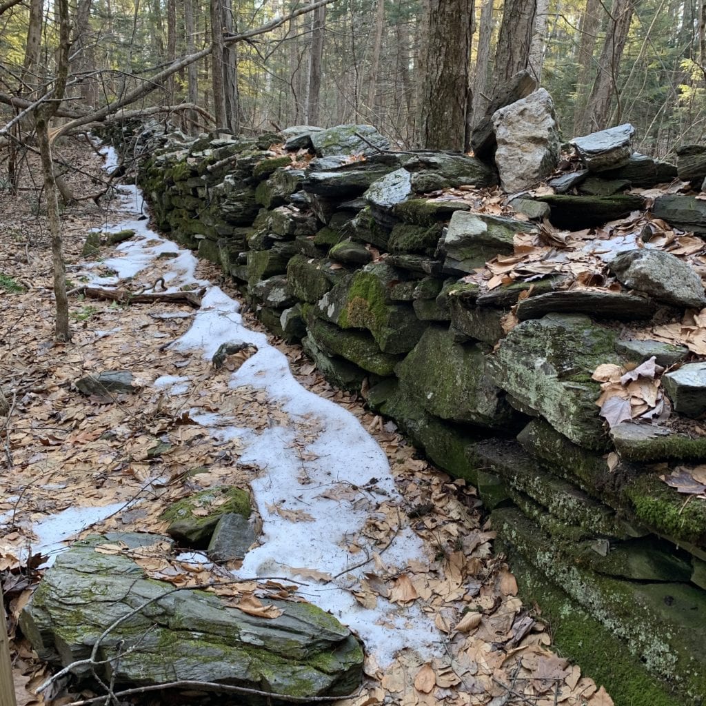 stone wall in the woods of vermont