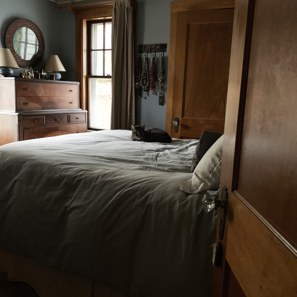 tabby cat laying on a bed