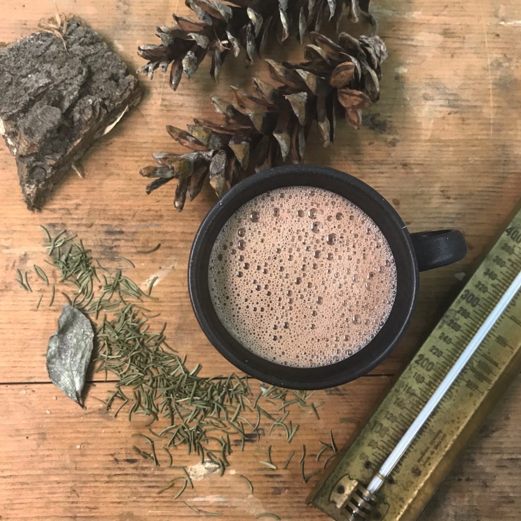 Forest Cocoa with pine needles