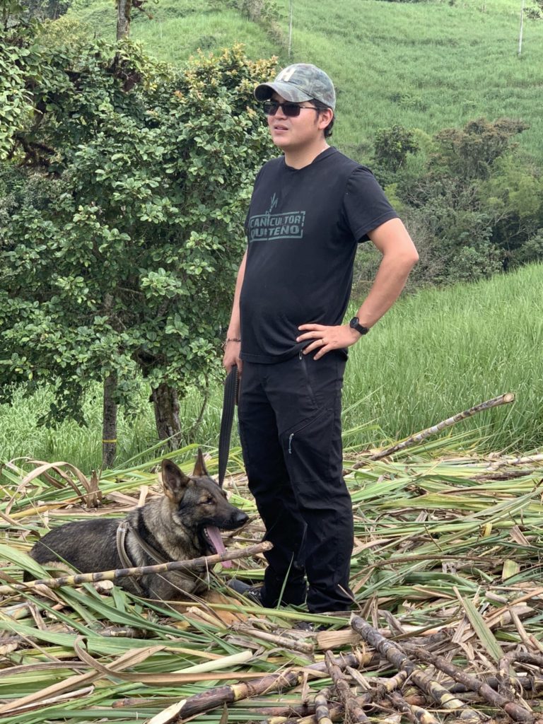 a dog accompanies the workers in the sugarcane fields to scare away snakes