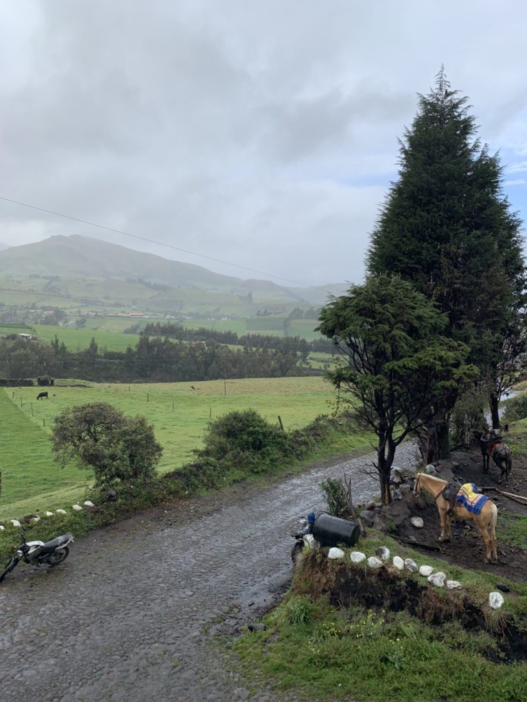 View of the mountains from Ecuadorian farm