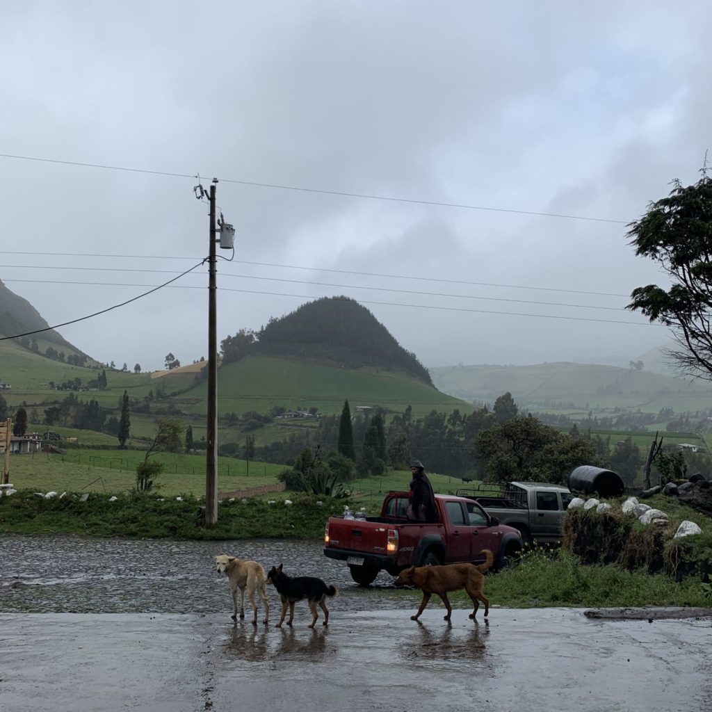 Ecuadorian mountainside covered in fog