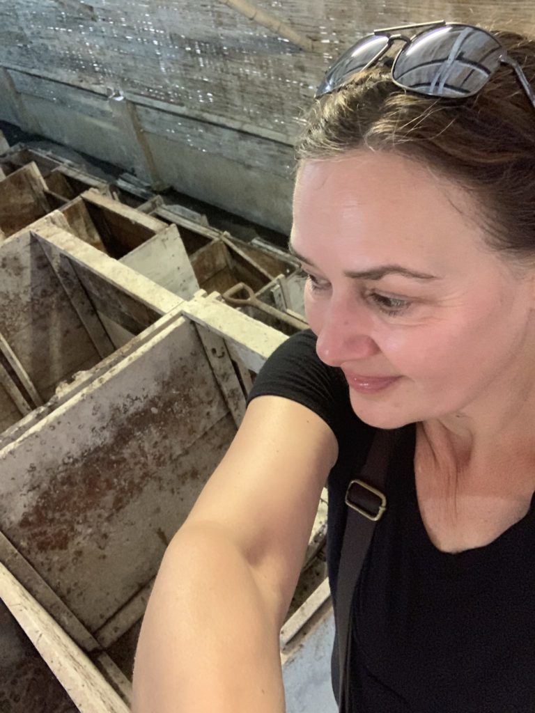 Dar Tavernier Singer of Tavernier Chocolates in Ecuador watching the chocolate fermentation process