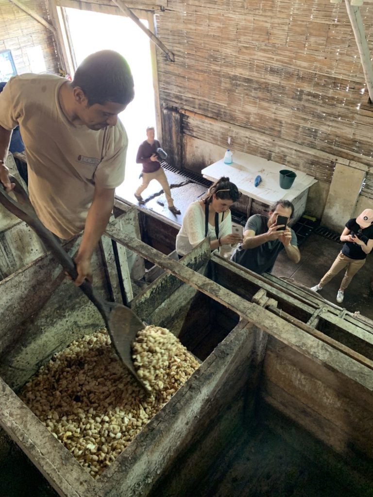 Tavernier Chocolates in Ecuador watching the process for fermenting cacao