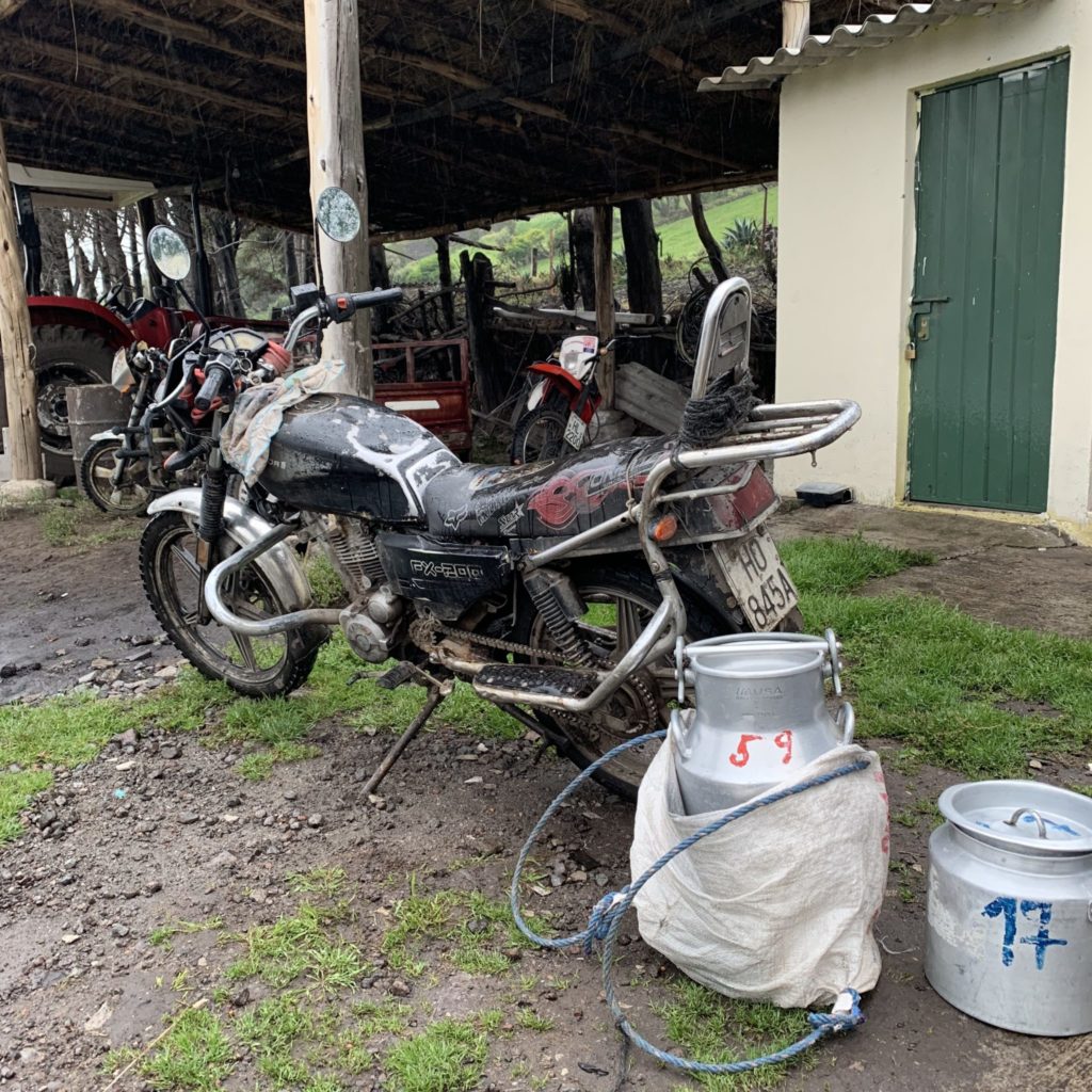 milk being delivered to the village collection site in the Ecuadorian Andes