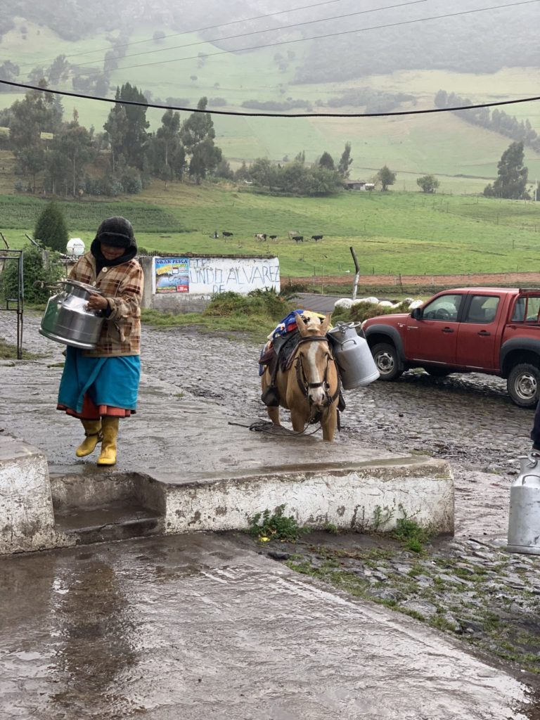 Woman and horse carrying milk pails