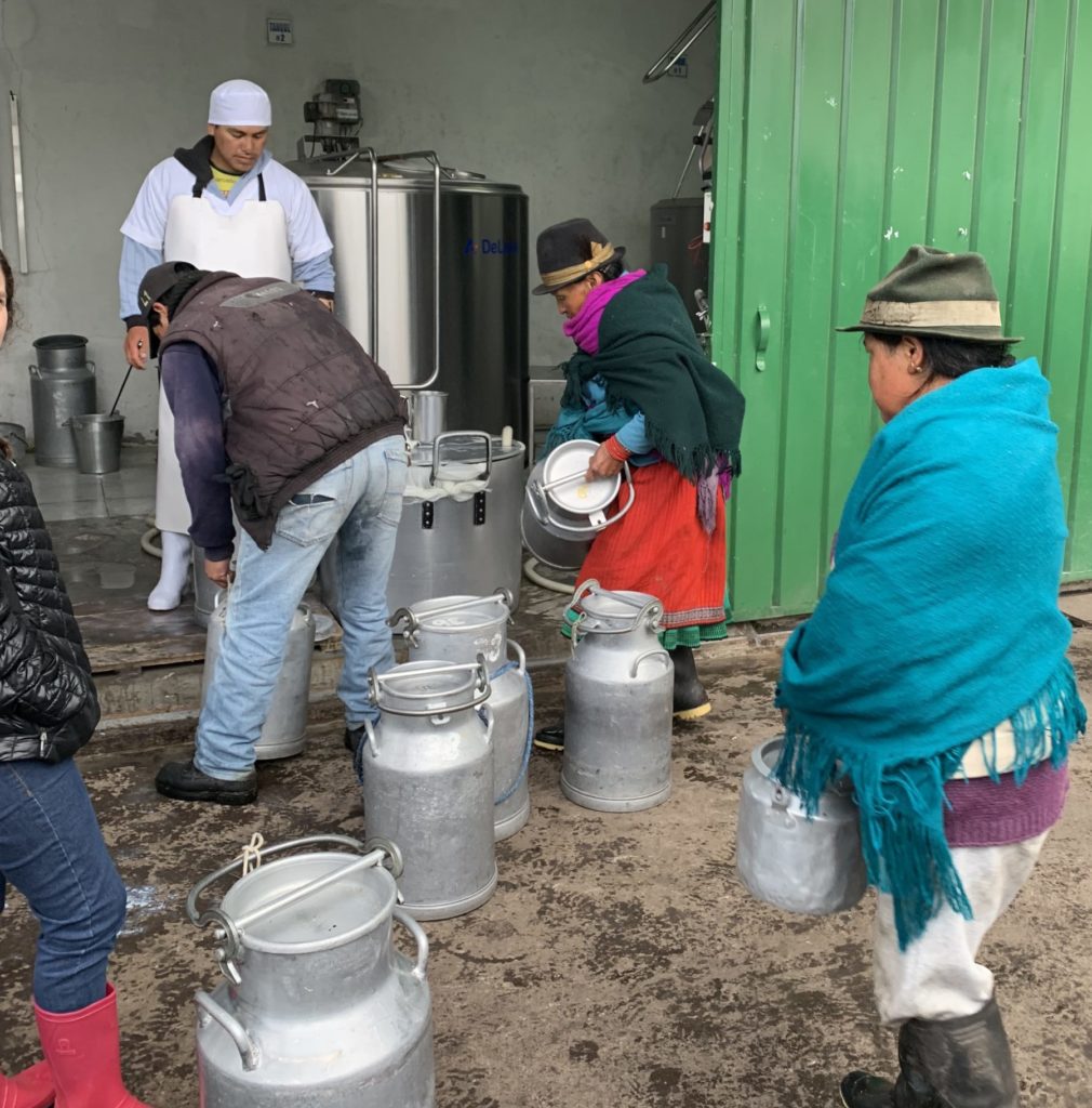 Ecuadorian women and milk pails