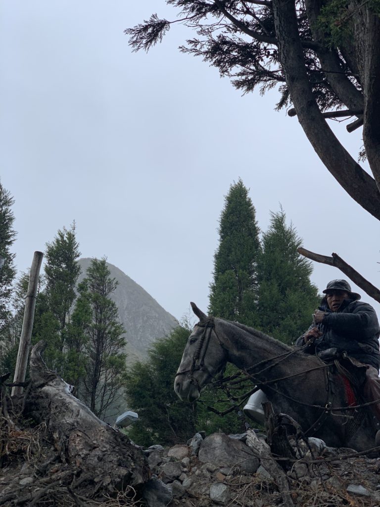 Man riding a horse in ecuador