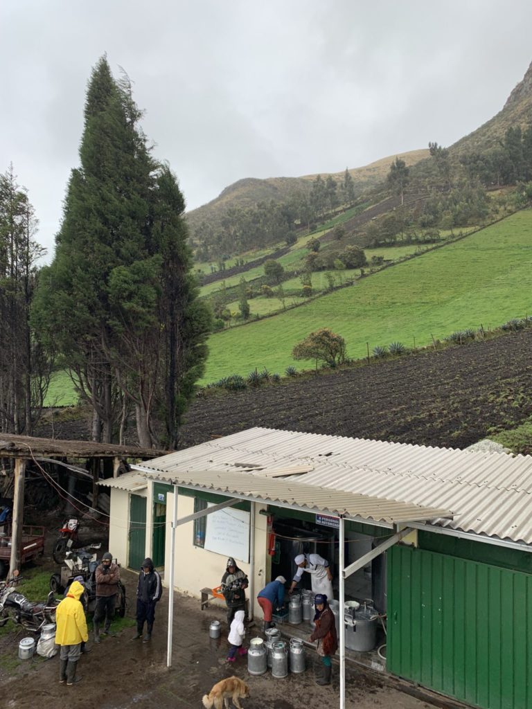 Farm in the Ecuadorian andes