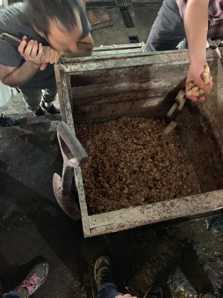 Tavernier Chocolates in Ecuador watching the process for fermenting cacao