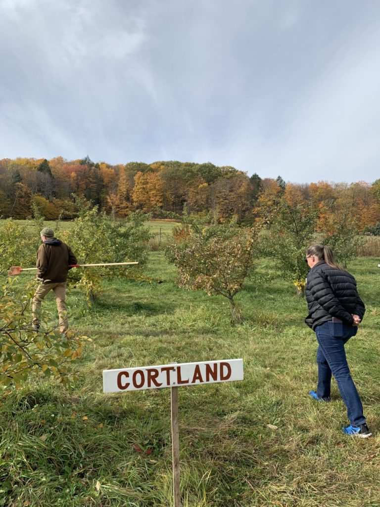 Dar and John Singer walking through a row of Cortland apple trees