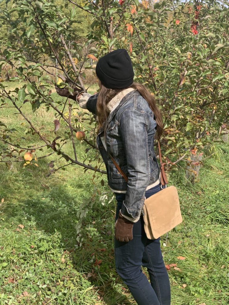 Dar Singer from behind picking an apple off the tree