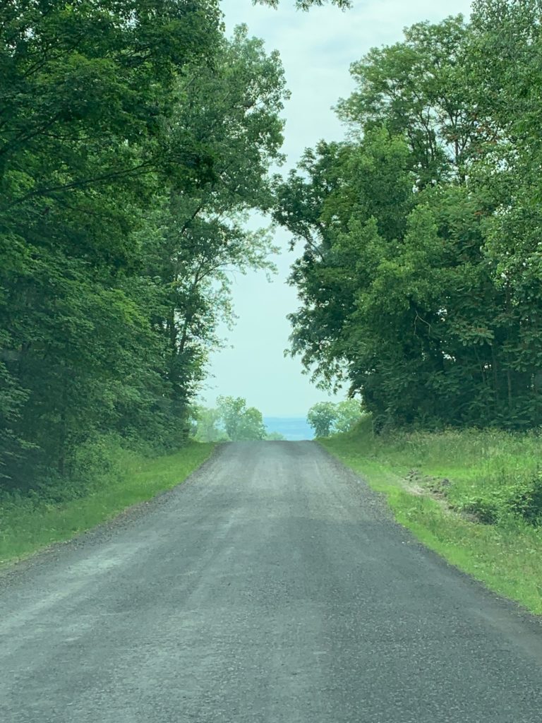 View of the road ahead with trees on each side