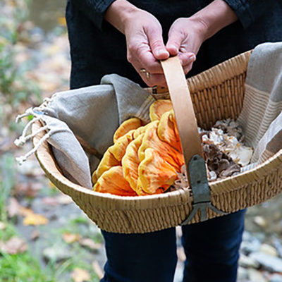 Woman holding a basket filled with foraged mushrooms