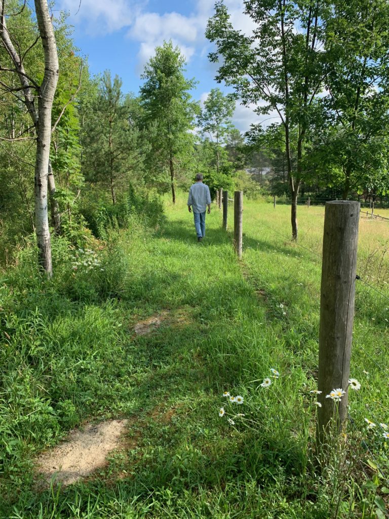 Path alongside a wire fence