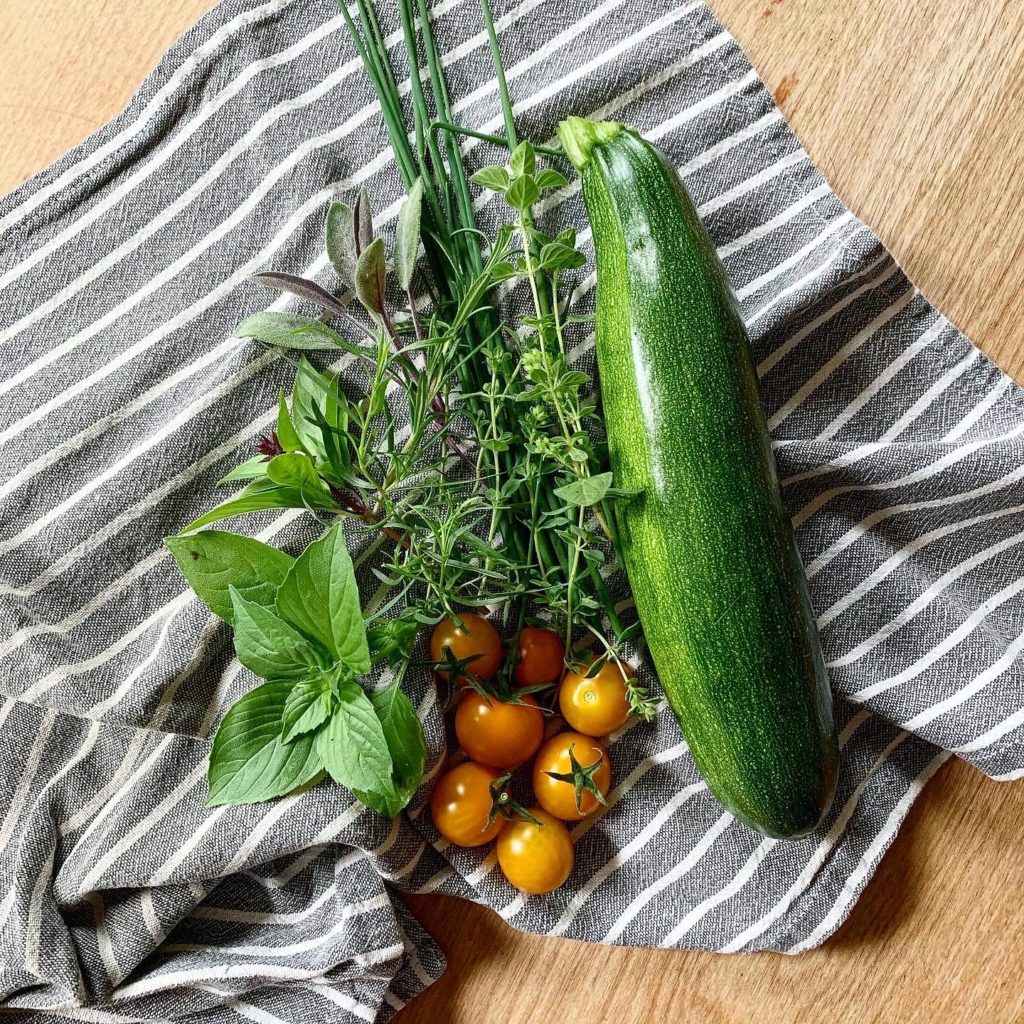 Fresh picked zucchini, cherry tomatoes, mint, thyme, and chives 