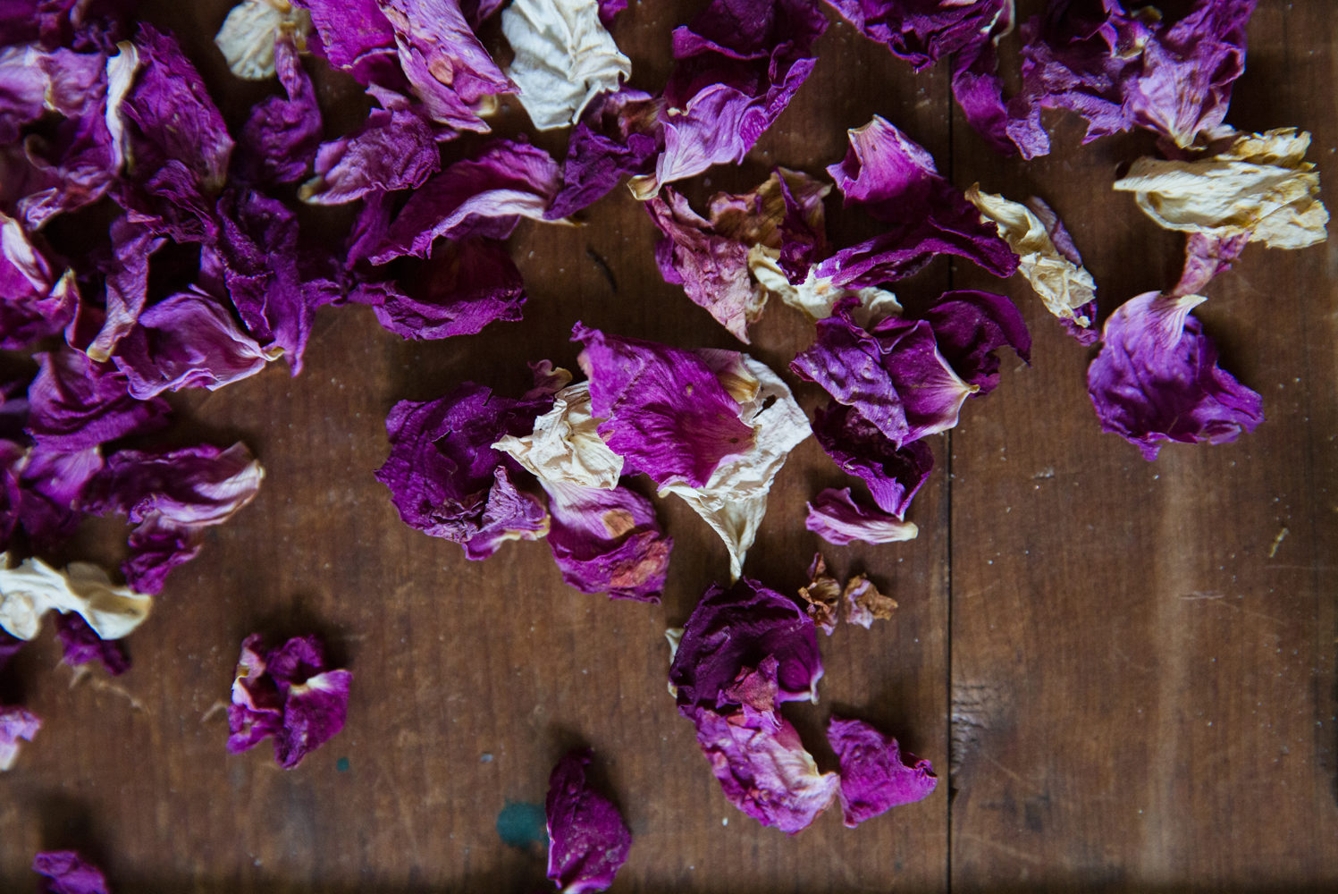 Purple flower petals scattered on a dark wooden table