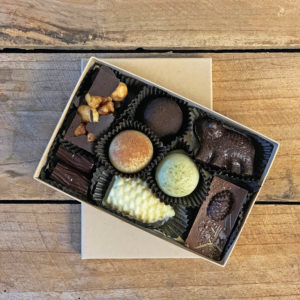 Medium Mountain Trail Bonbon Collection. Box features 8 bonbons in various sizes.