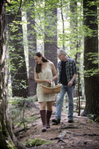 Dar Tavernier and John Singer of Tavernier Chocolates foraging in the pine forest with a basket